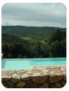 Pipistrelli Pool